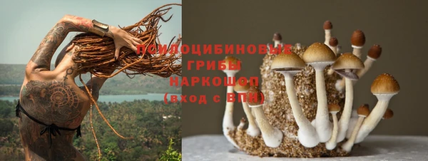 spice Горнозаводск