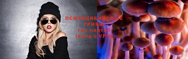 прущие грибы Горно-Алтайск