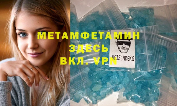прущие грибы Горно-Алтайск