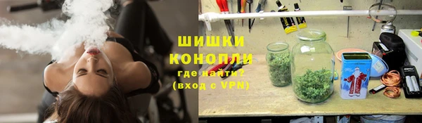 прущие грибы Горно-Алтайск