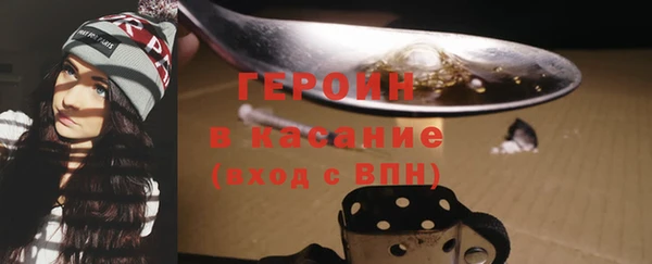 прущие грибы Горно-Алтайск