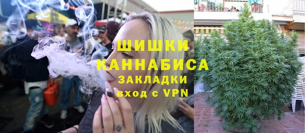 прущие грибы Горно-Алтайск