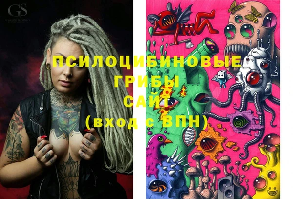 spice Горнозаводск