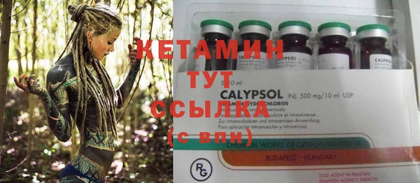 прущие грибы Горно-Алтайск