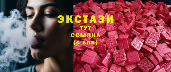 прущие грибы Горно-Алтайск