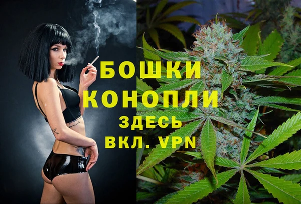 прущие грибы Горно-Алтайск