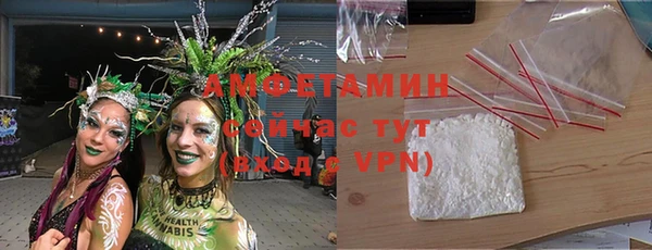 прущие грибы Горно-Алтайск