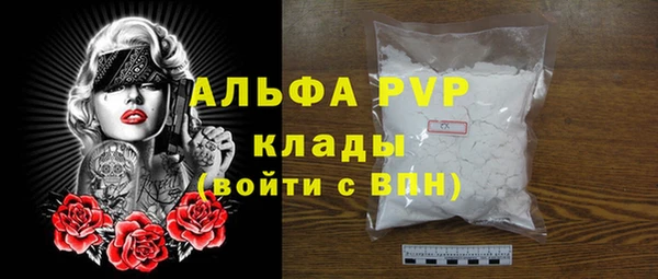 прущие грибы Горно-Алтайск