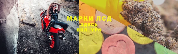 прущие грибы Горно-Алтайск