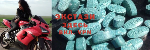 прущие грибы Горно-Алтайск