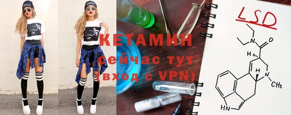 прущие грибы Горно-Алтайск