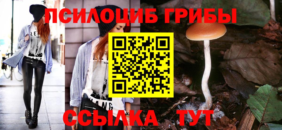 Севастополь  Псилоцибиновые грибы Cubensis  Вход с VPN 