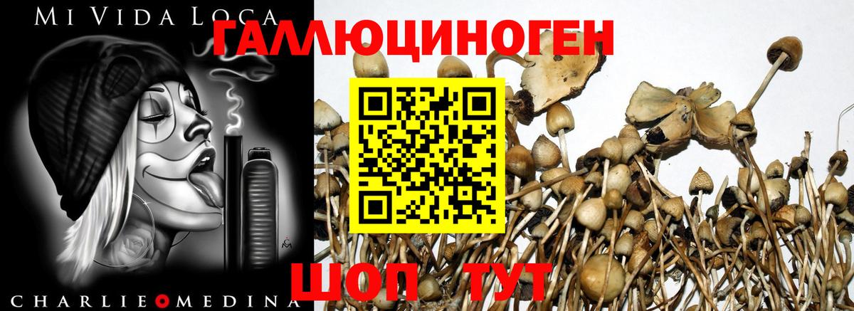 Галлюциногенные грибы мицелий Севастополь